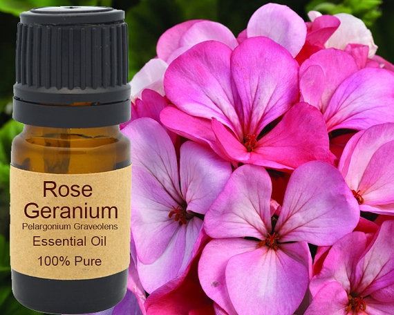 Rose Geranium Essential Oil 15ml